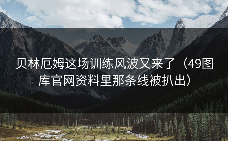 贝林厄姆这场训练风波又来了（49图库官网资料里那条线被扒出）